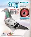 图片暂时未上传
