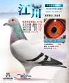 图片暂时未上传