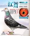 图片暂时未上传