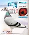 图片暂时未上传