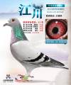 图片暂时未上传