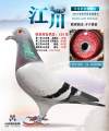 图片暂时未上传