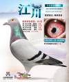 图片暂时未上传