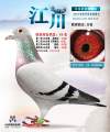 图片暂时未上传