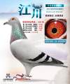 图片暂时未上传