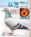 图片暂时未上传