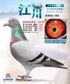 图片暂时未上传