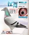 图片暂时未上传
