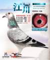 图片暂时未上传