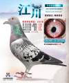 图片暂时未上传