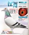图片暂时未上传