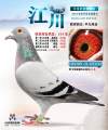 图片暂时未上传