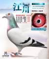图片暂时未上传
