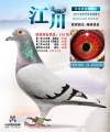 图片暂时未上传