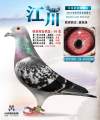 图片暂时未上传