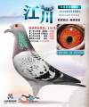 图片暂时未上传