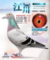 图片暂时未上传