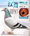 图片暂时未上传