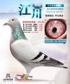 图片暂时未上传