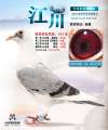 图片暂时未上传