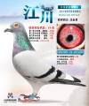 图片暂时未上传