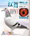 图片暂时未上传