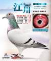 图片暂时未上传
