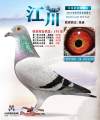 图片暂时未上传
