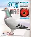 图片暂时未上传