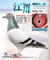 图片暂时未上传