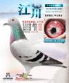 图片暂时未上传