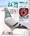 图片暂时未上传
