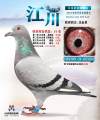 图片暂时未上传