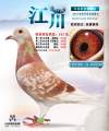 图片暂时未上传