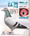 图片暂时未上传
