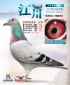 图片暂时未上传