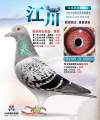 图片暂时未上传