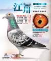 图片暂时未上传