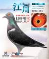 图片暂时未上传