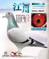 图片暂时未上传