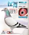 图片暂时未上传