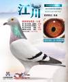 图片暂时未上传