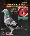 图片暂时未上传
