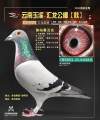 图片暂时未上传