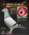 图片暂时未上传