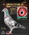 图片暂时未上传
