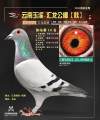 图片暂时未上传
