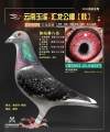 图片暂时未上传
