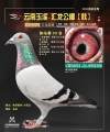 图片暂时未上传