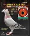 图片暂时未上传